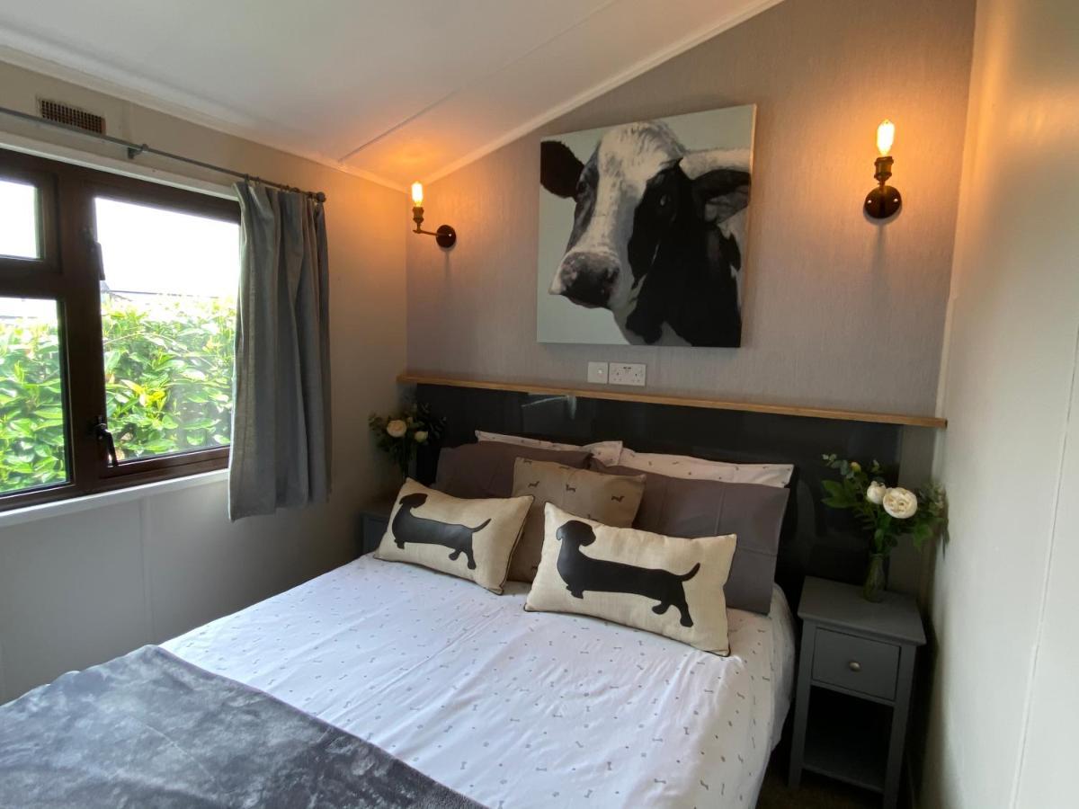 Rew Farm Country & Equestrian Accommodation - Sunrise Lodge Melksham Ngoại thất bức ảnh